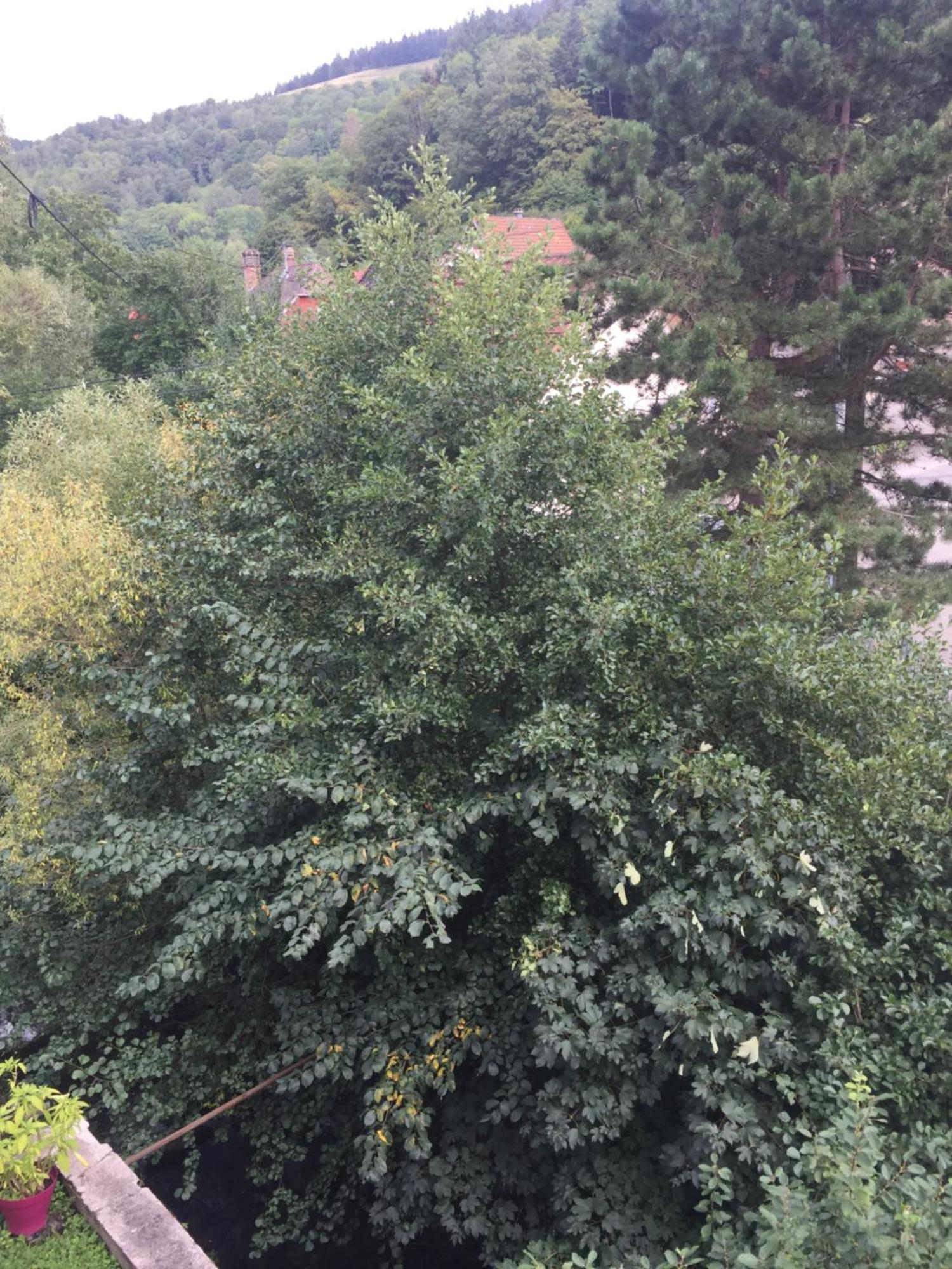 Chambres D'Hotes A La Fecht Nature Et Bien-Etre Sondernach Bagian luar foto