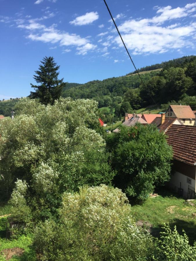 Chambres D'Hotes A La Fecht Nature Et Bien-Etre Sondernach Bagian luar foto